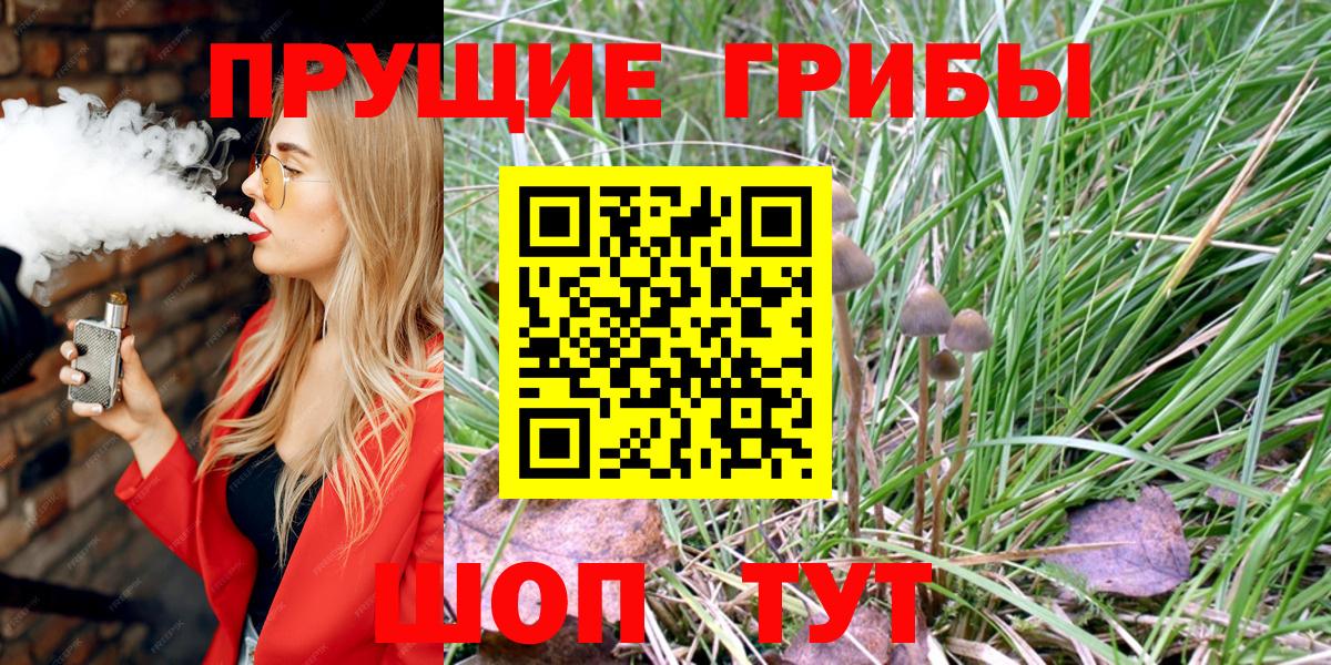 Псилоцибиновые грибы MAGIC MUSHROOMS  Вход с VPN  Кисловодск 